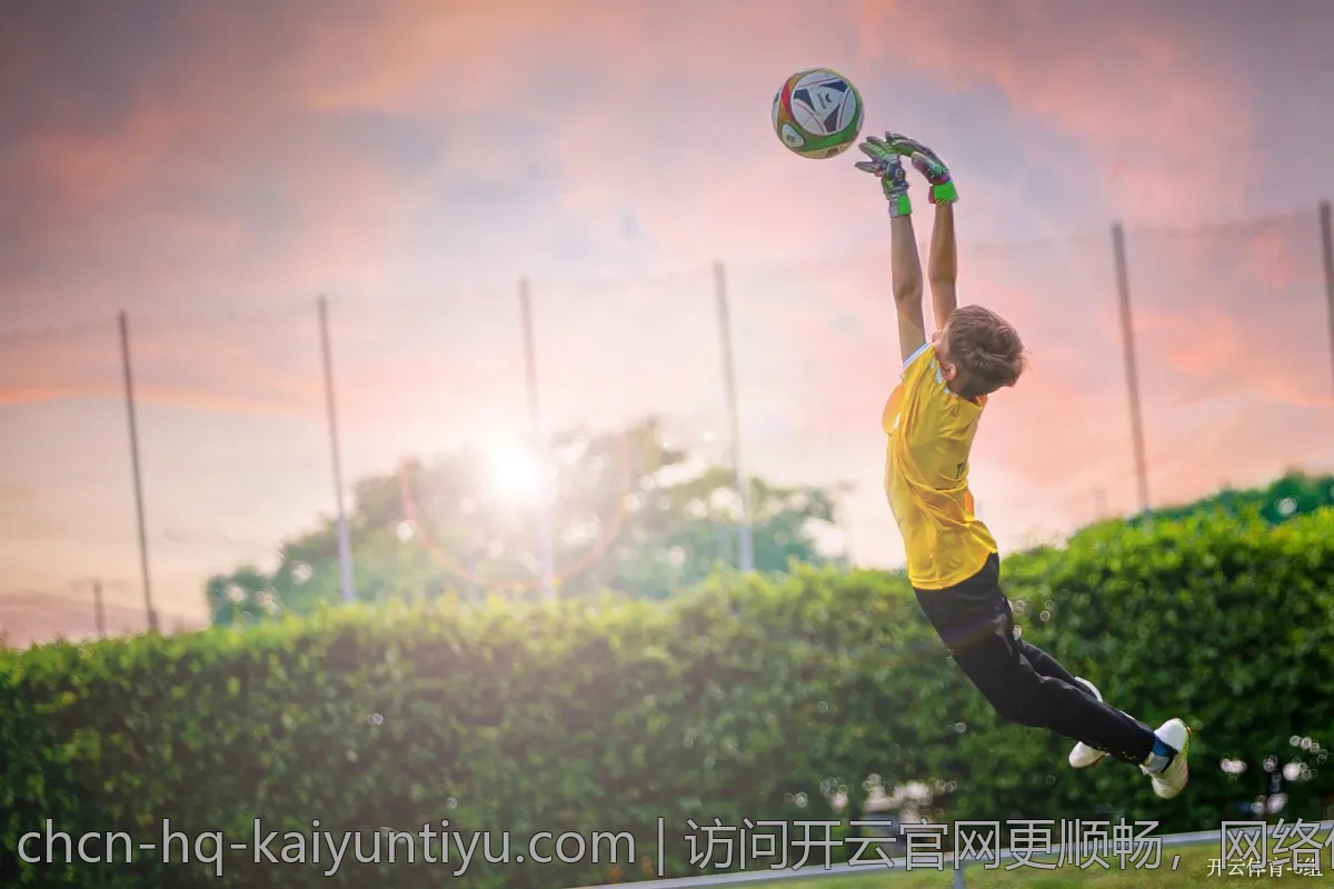访问开云官网更顺畅，网络优化技巧分享
